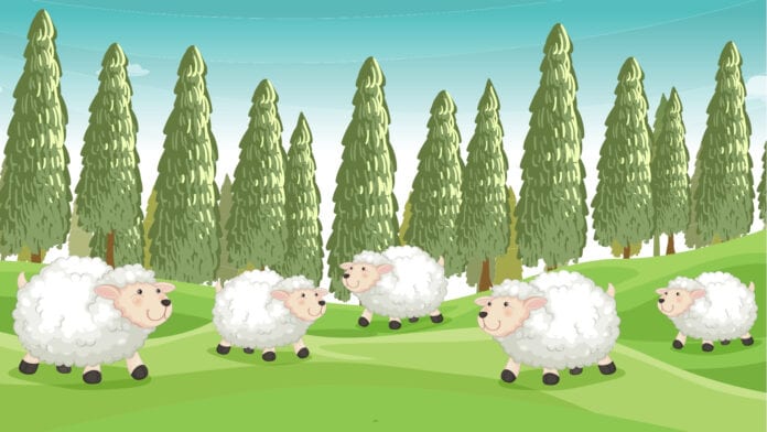 भेड़ पालन का बिज़नेस कैसे शुरू करें ? (How To Start Sheep Farming Business)