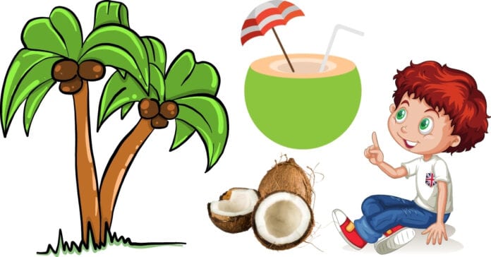 नारियल पानी का व्यापार कैसे शुरू करें Packaged Coconut Water Business Plan